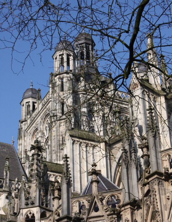 Wat te doen in Den Bosch?